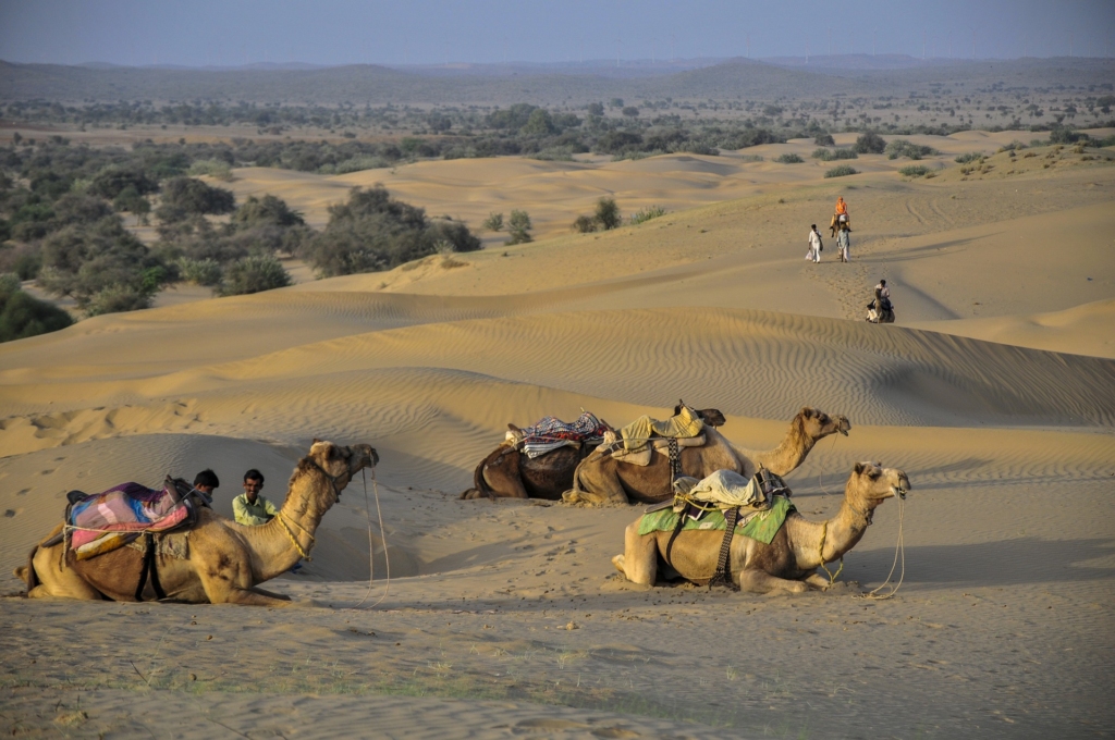 Desert Adventures Explore India Trails