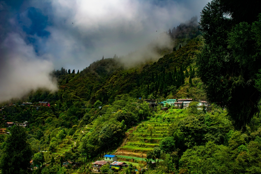 Darjeeling Explore India Trails