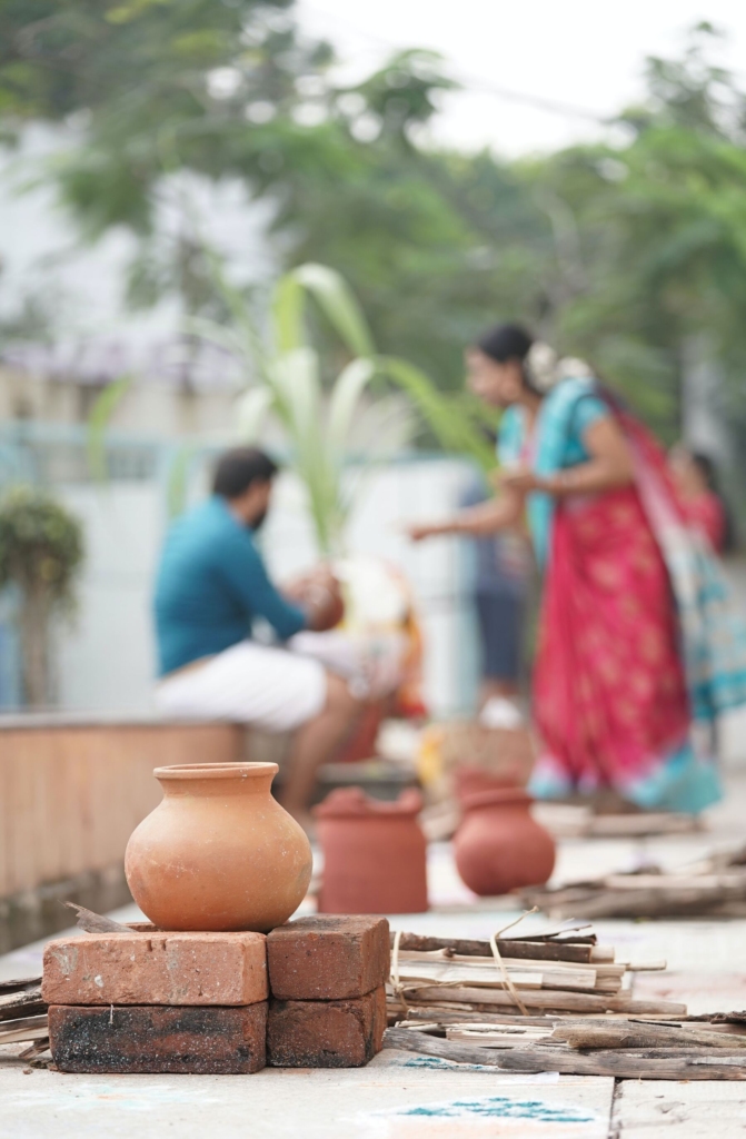 Pongal festival Explore India Trails